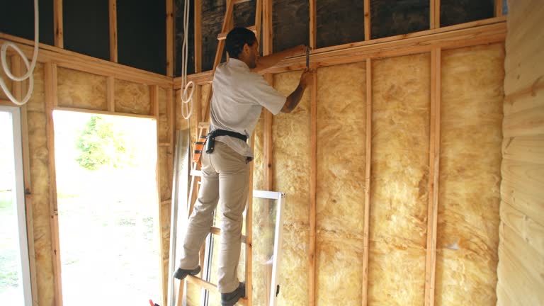 Best Insulation Replacement  in Batavia, NY